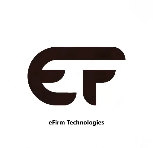 Software developer